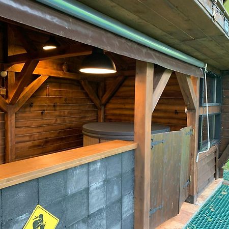 ZărneştiAvalanche Plaiul Foii别墅 外观 照片