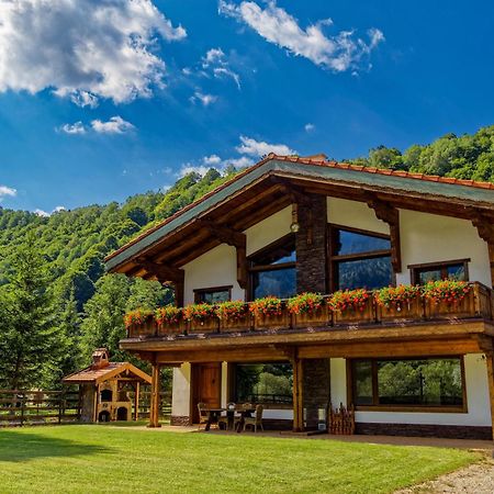 ZărneştiAvalanche Plaiul Foii别墅 外观 照片